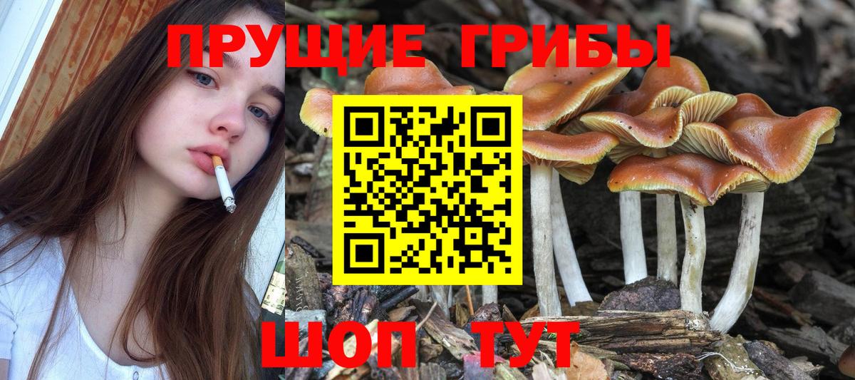 Галлюциногенные грибы Magic Shrooms Бирск
