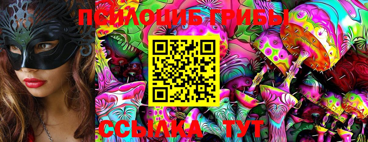 Псилоцибиновые грибы мицелий  Вход с VPN  Бирск 